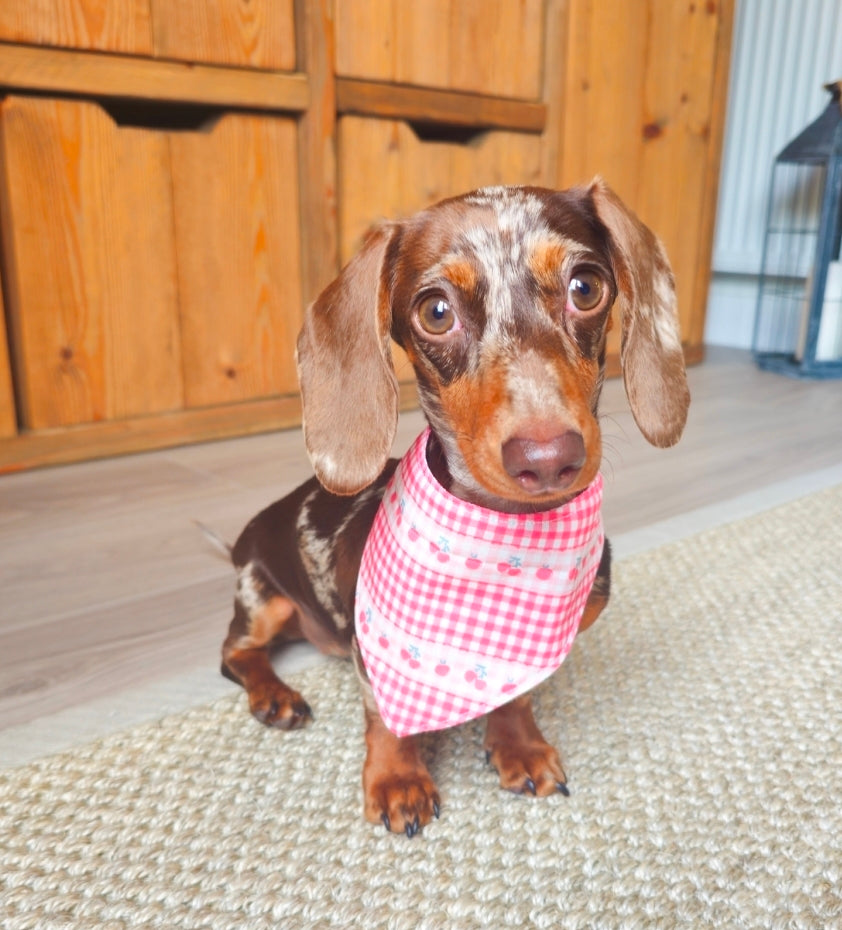 Very Cherry Bandana