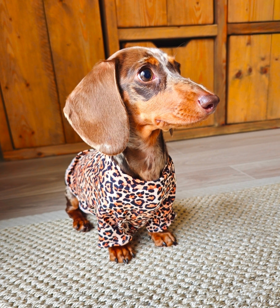 Wild One Dog Tee